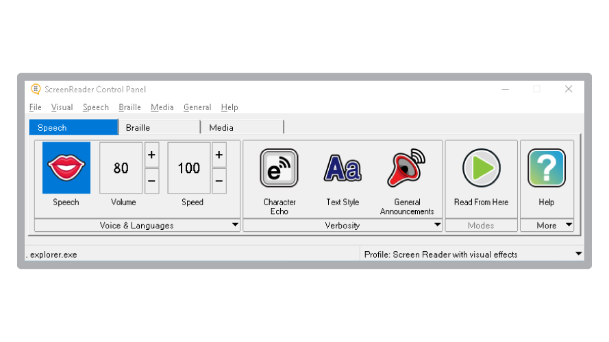 Graphic showing the ScreenReader control panel options.
